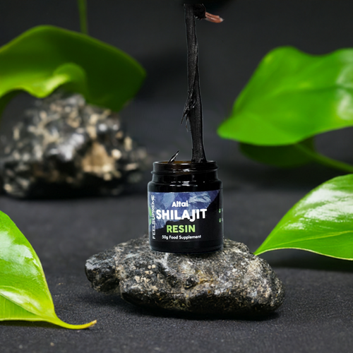 Altai Shilajit Resin | 50g